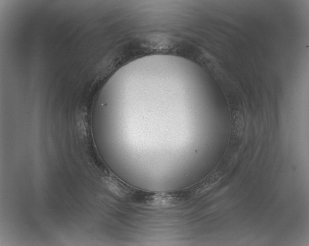 X0000054400612200508121701