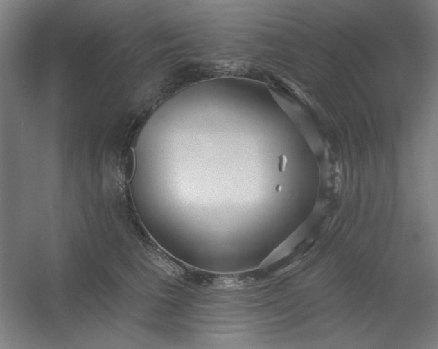 X0000054400613200508121701