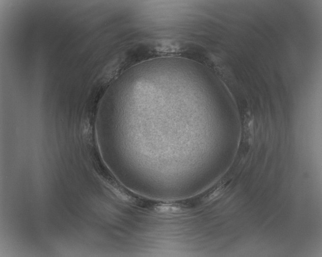 X0000054400614200508121701