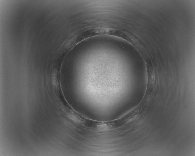 X0000054400616200508121700