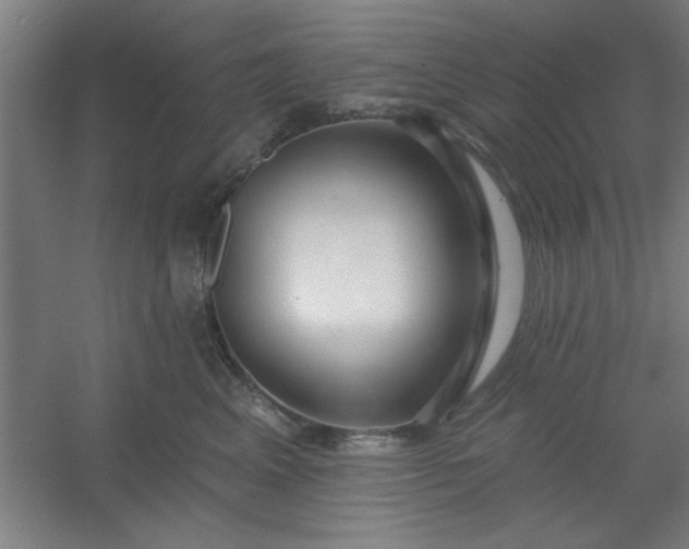 X0000054400617200508121700