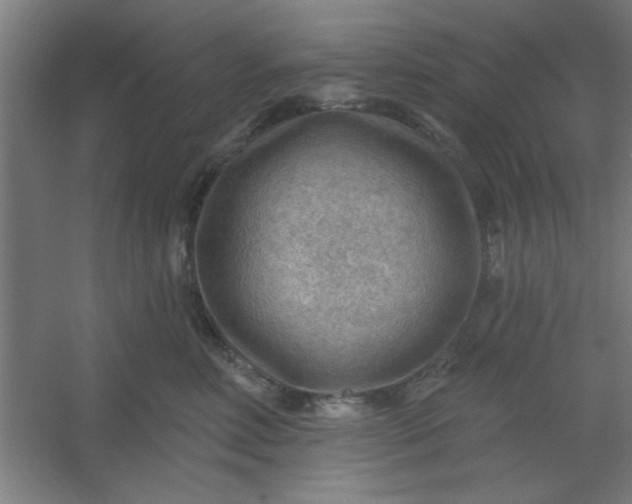 X0000054400618200508121700