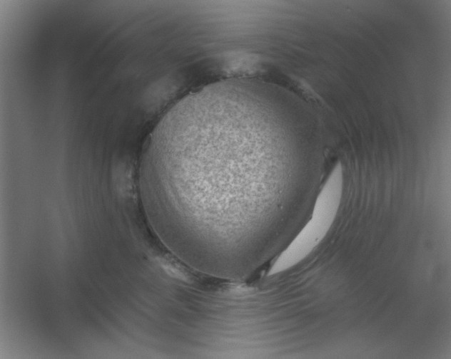 X0000054400619200508121700