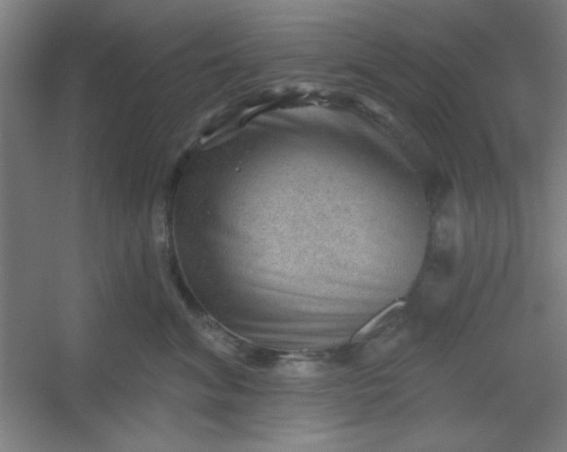 X0000054400620200508121700