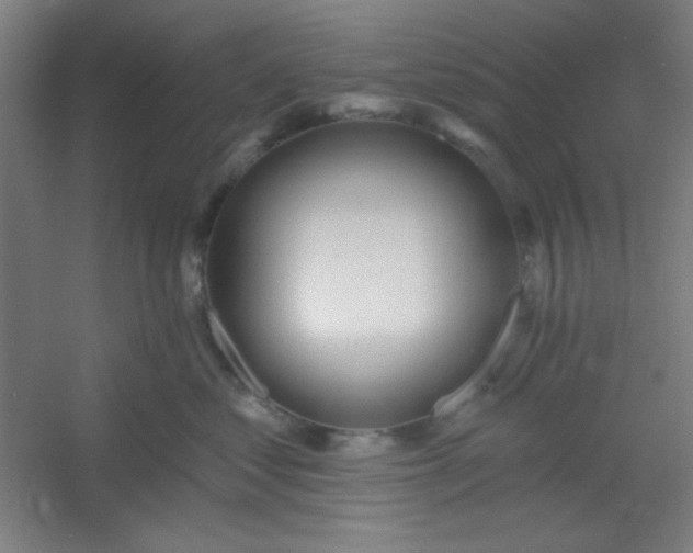 X0000054400621200508121700