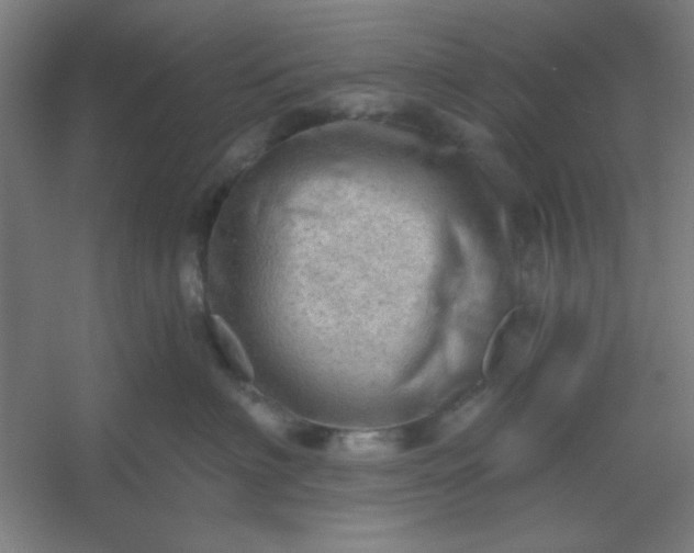 X0000054400622200508121700