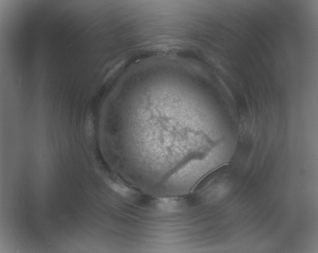 X0000054400623200508121700