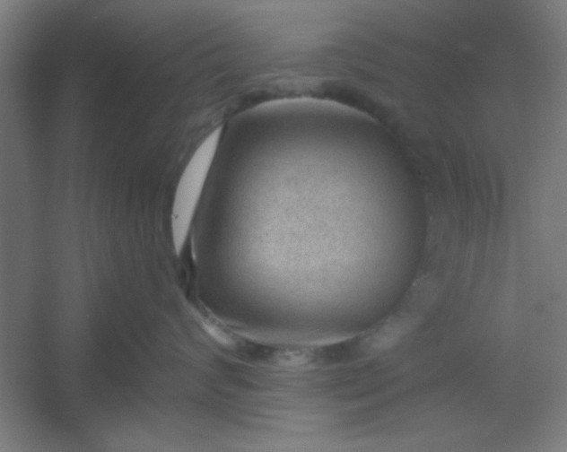 X0000054400624200508121700