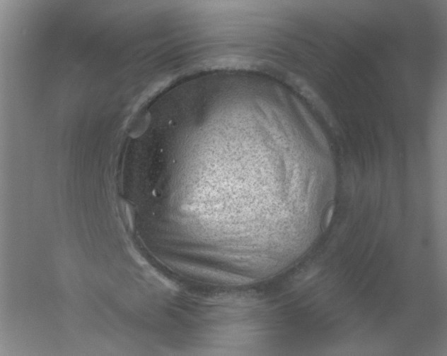 X0000054400625200508121700