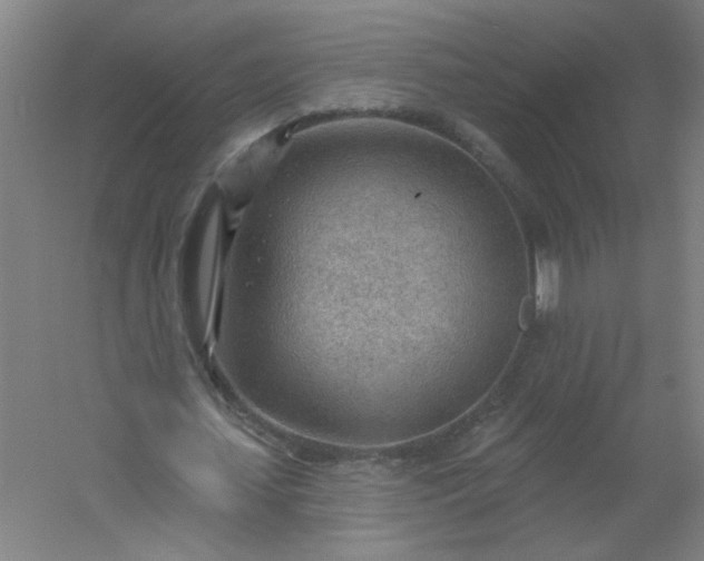 X0000054400627200508121700