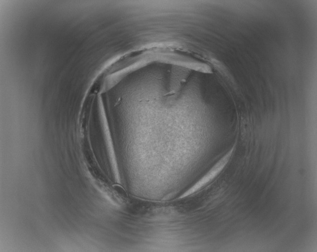 X0000054400628200508121700