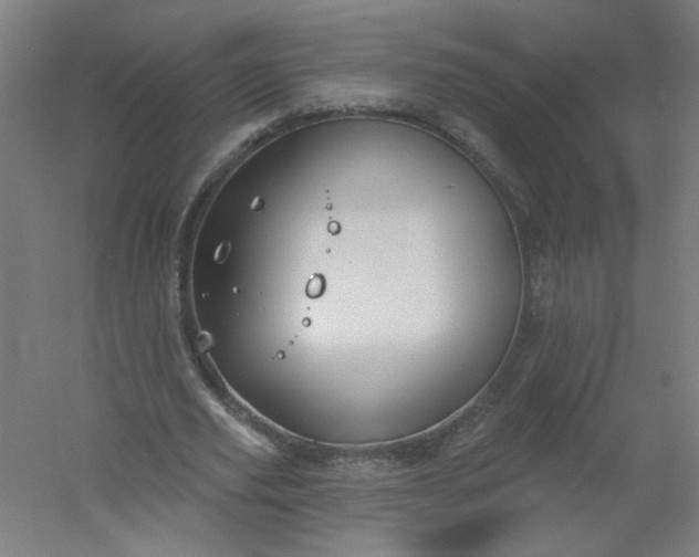 X0000054400629200508121700