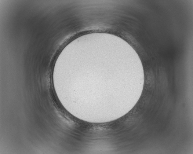 X0000054400632200508121700