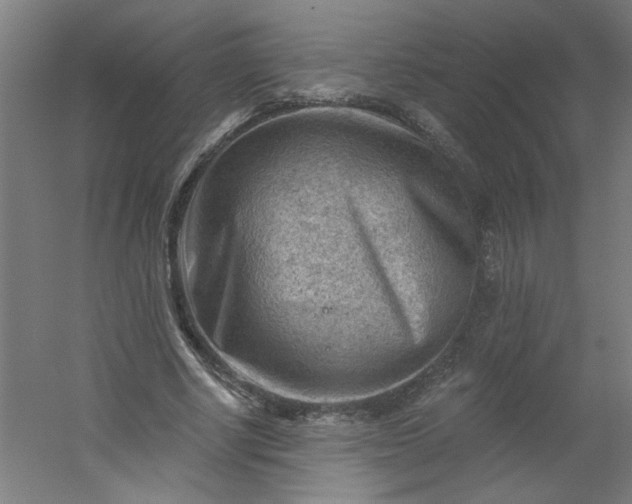 X0000054400634200508121700