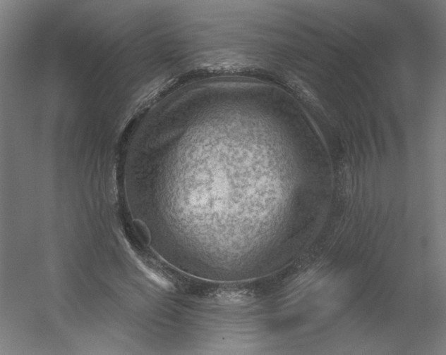 X0000054400638200508121700