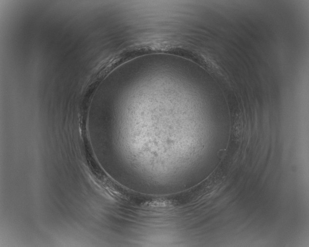 X0000054400639200508121700