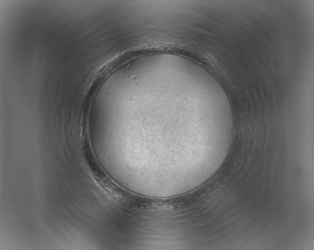 X0000054400640200508121700