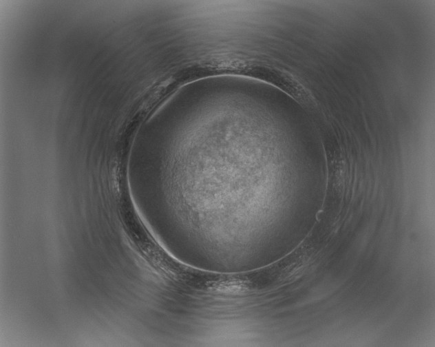 X0000054400643200508121700