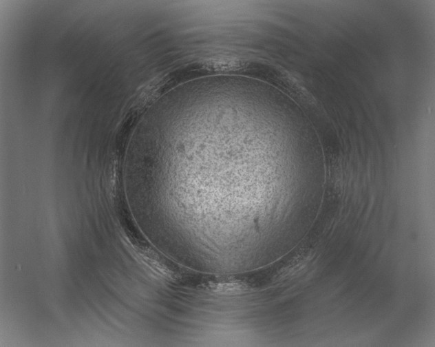 X0000054400645200508121700