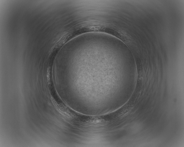 X0000054400646200508121700