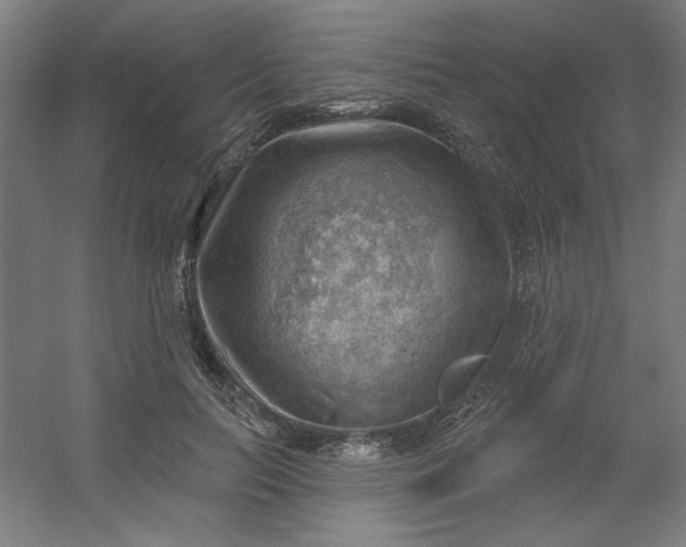 X0000054400647200508121700