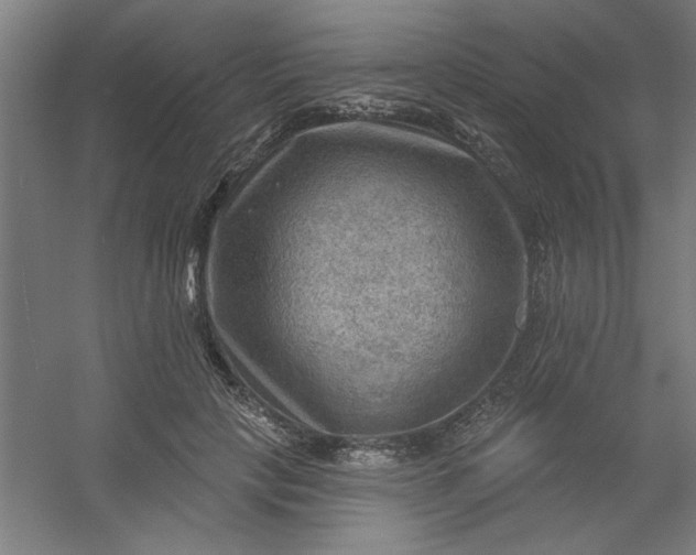 X0000054400649200508121700