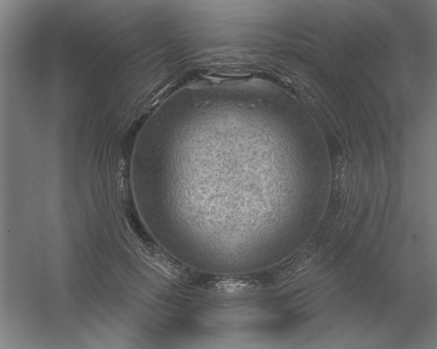 X0000054400650200508121700