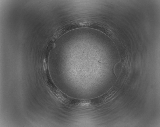 X0000054400651200508121700