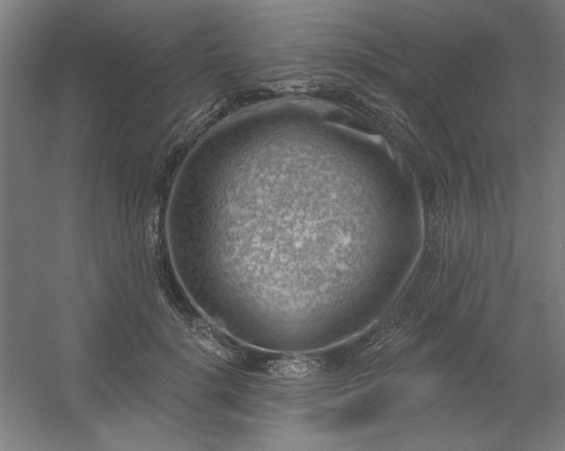 X0000054400652200508121700