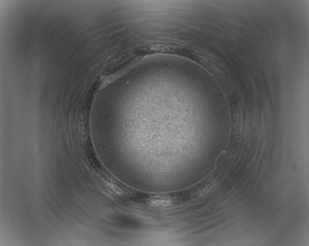 X0000054400653200508121700