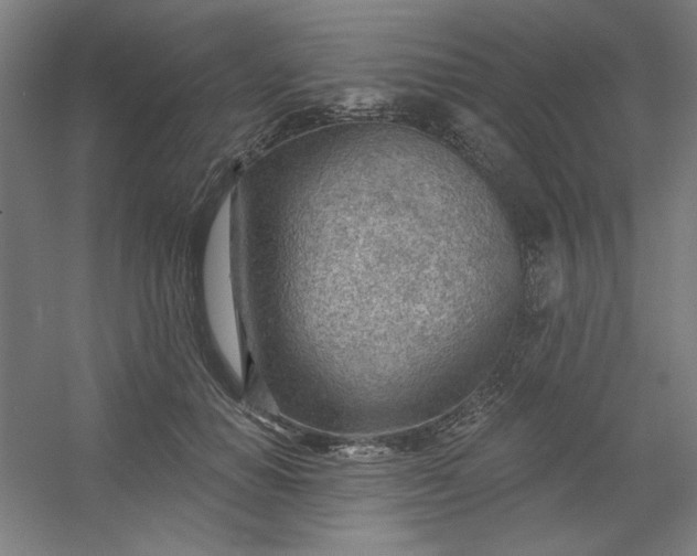 X0000054400654200508121700