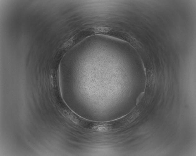 X0000054400655200508121700