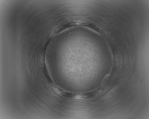 X0000054400657200508121700