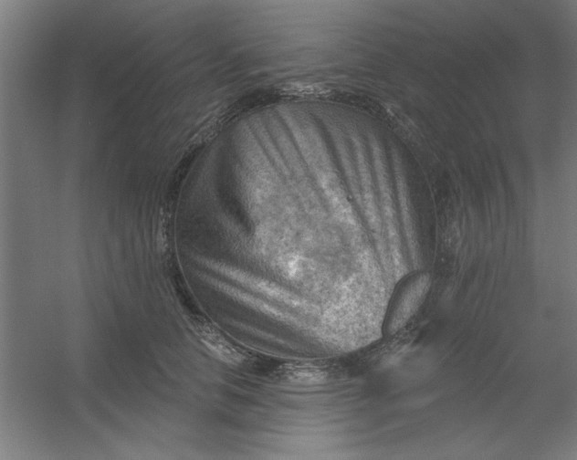 X0000054400658200508121700