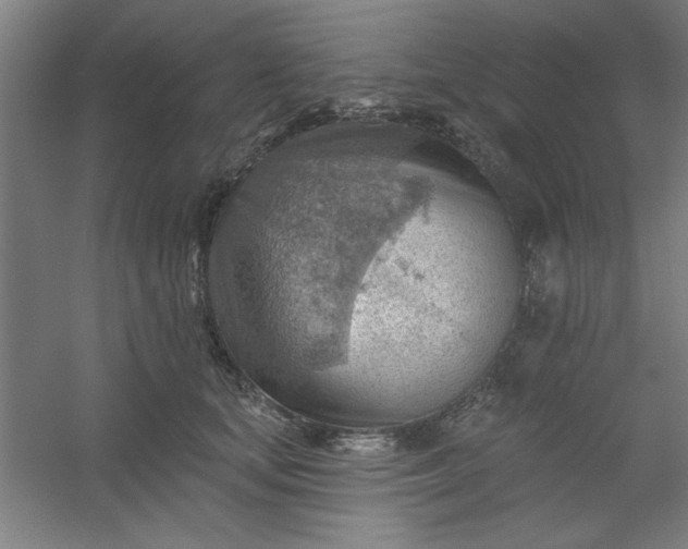 X0000054400659200508121700