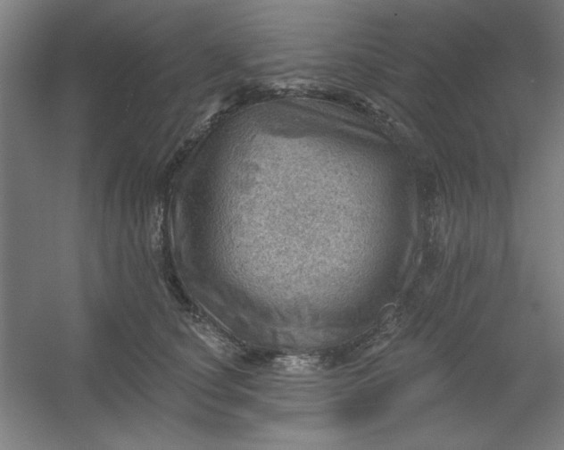 X0000054400660200508121700