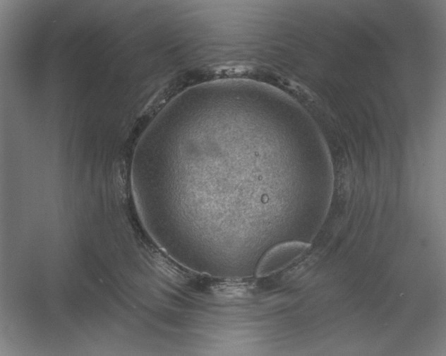 X0000054400661200508121700