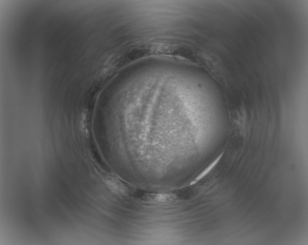 X0000054400663200508121700