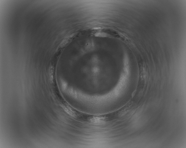 X0000054400664200508121700