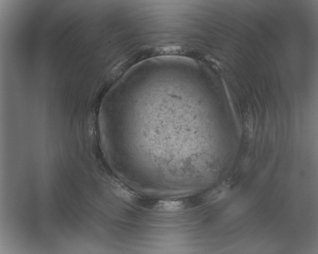 X0000054400665200508121700