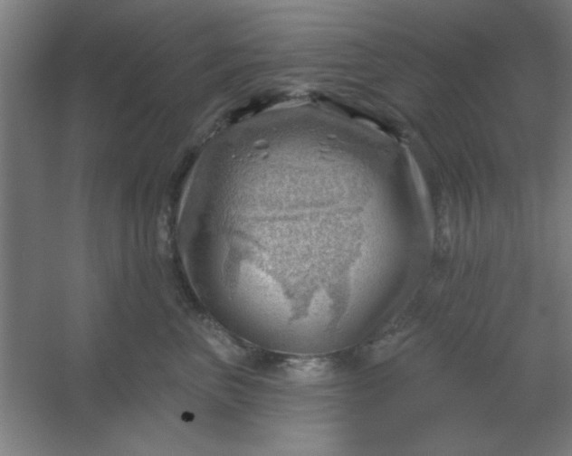 X0000054400667200508121700