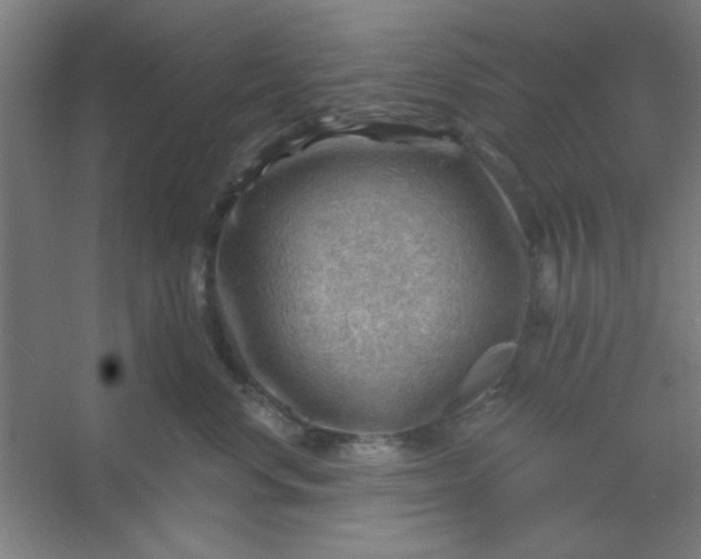 X0000054400668200508121700