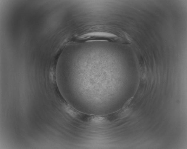 X0000054400669200508121700