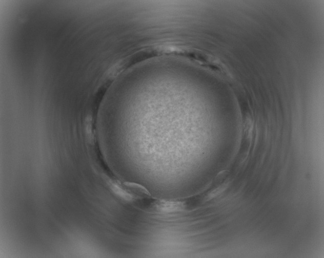 X0000054400670200508121700