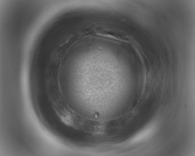 X0000054400671200508121700