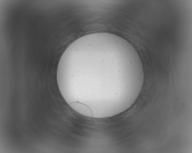 X0000054400672200508121700