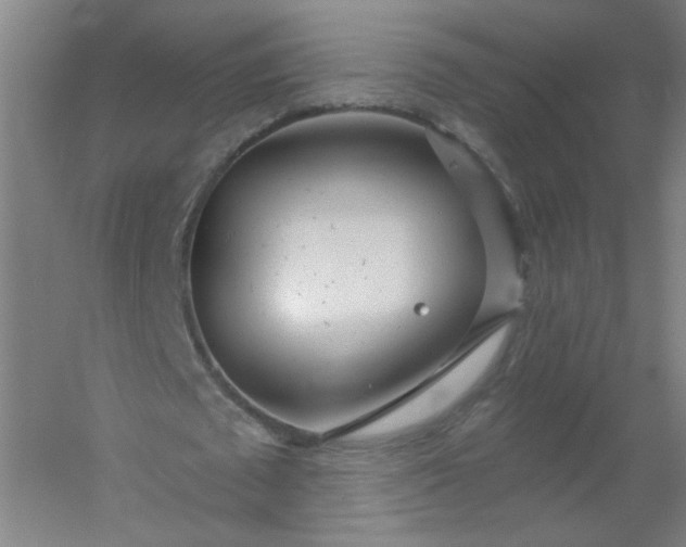 X0000054400673200508121700