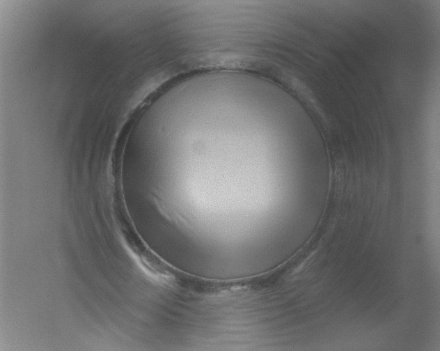 X0000054400674200508121700