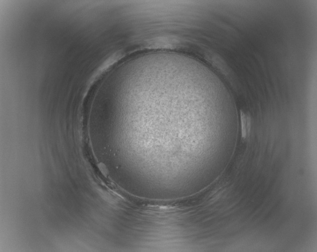 X0000054400675200508121659