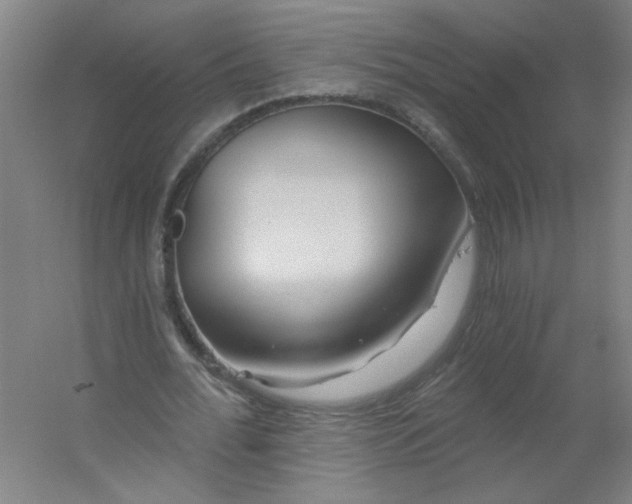 X0000054400676200508121659